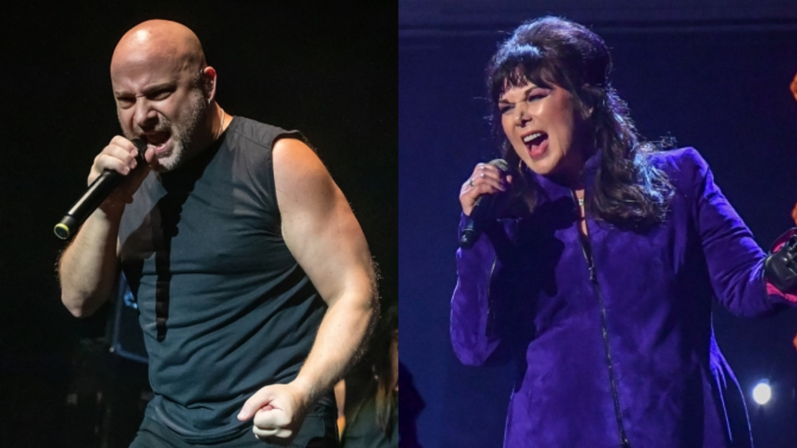Hear Disturbed Duet With Heart's Ann Wilson on New Song "Don't Tell Me