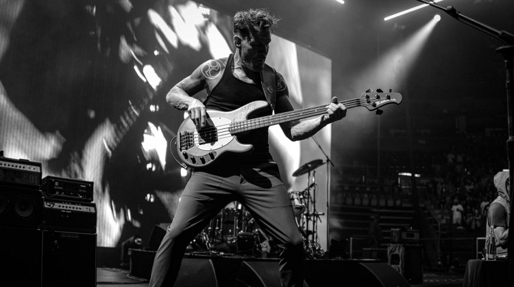 THE ELEPHANT BASS on Tumblr: Tim Commerford RATM & Audioslave bass player